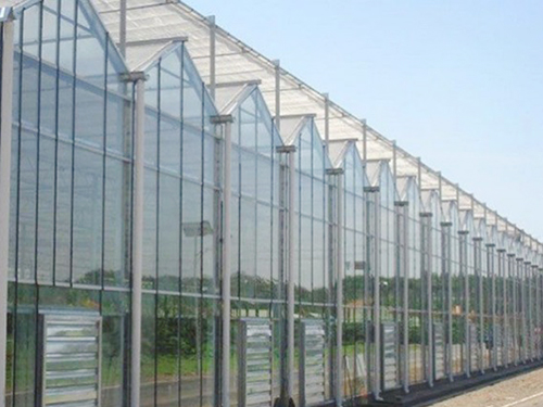 玻璃溫室大棚